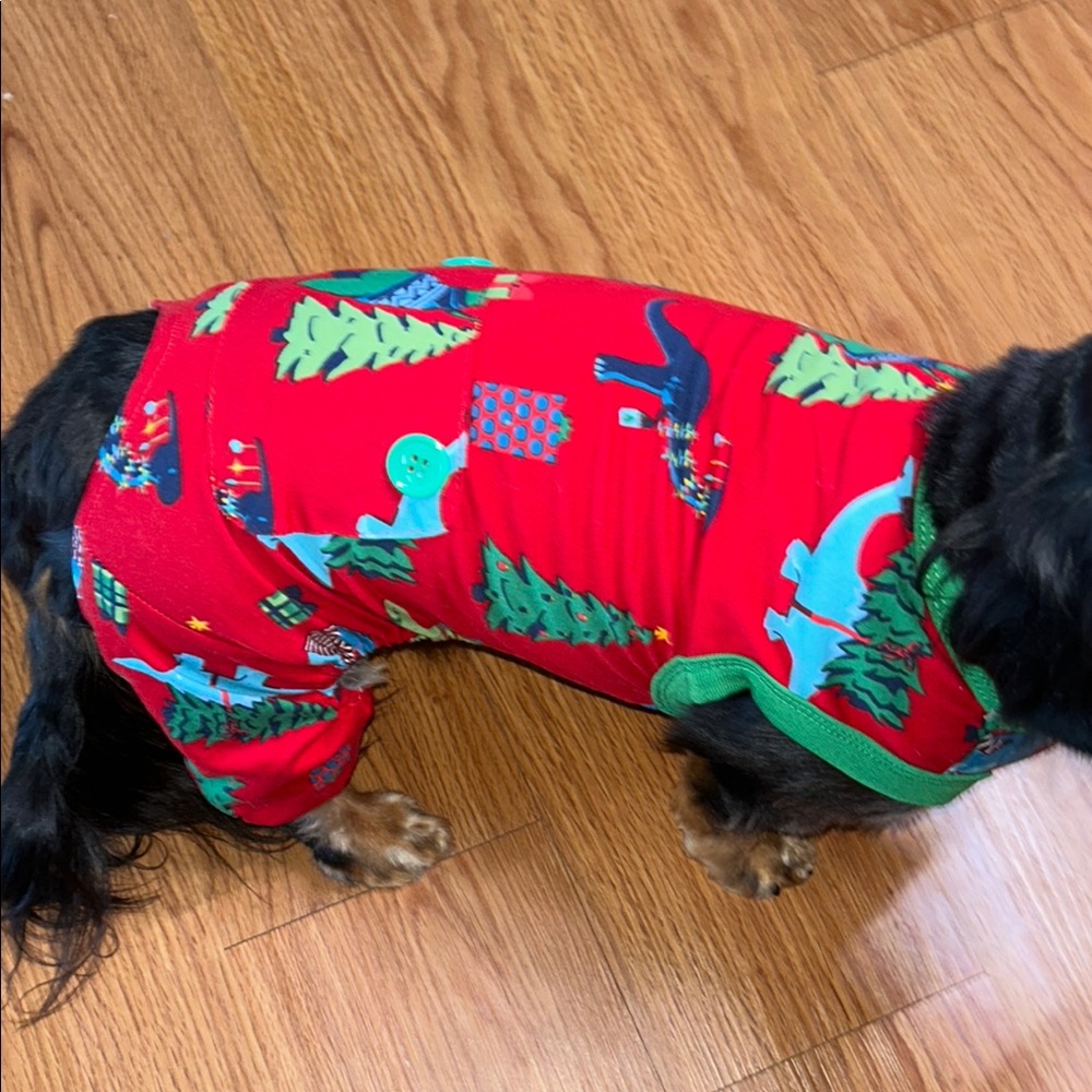 Festive Paws Red Dinosaur Dog Pajamas